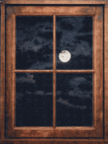 window with plants